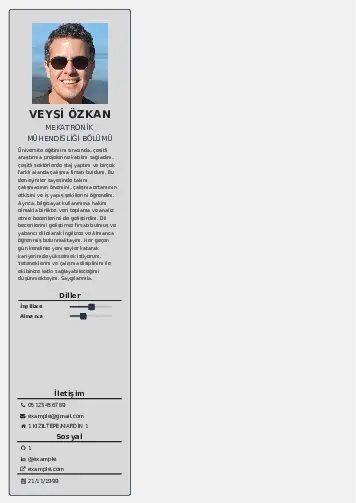 Mekatronik Mühendisliği Cv Örnekleri cv indir